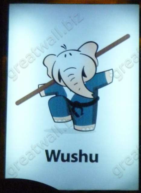 Wushu - วูซู