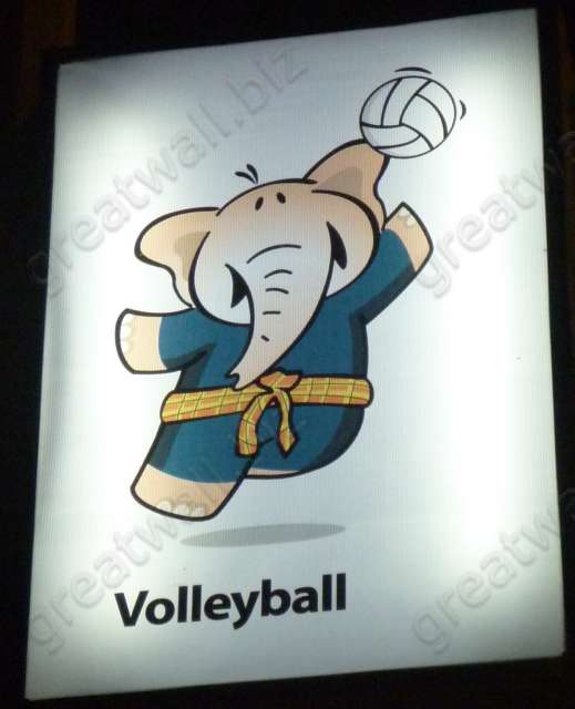 Volleyball - วอลเลย์บอล