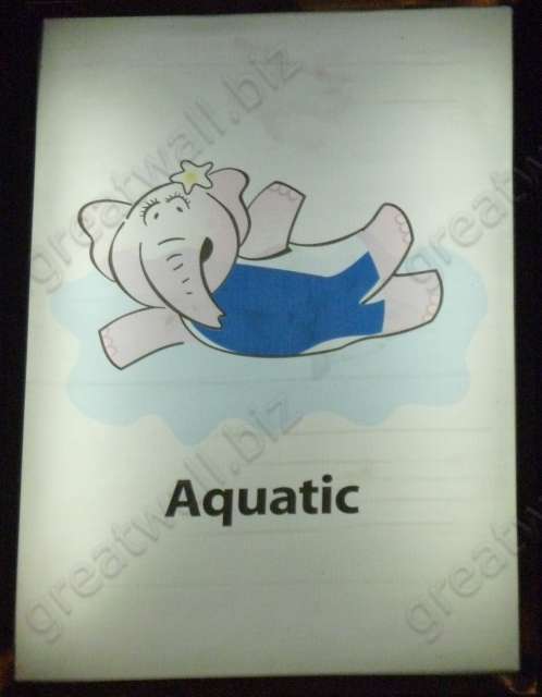 Aquatic - กีฬาทางน้ำ