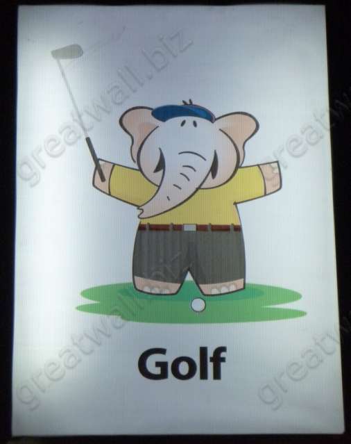 Golf - กอล์ฟ